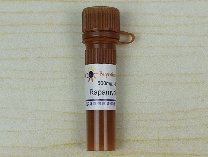 Rapamycin (FRAP/mTOR抑制剂)